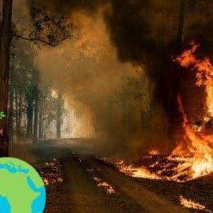 Meet your Posher, Mario